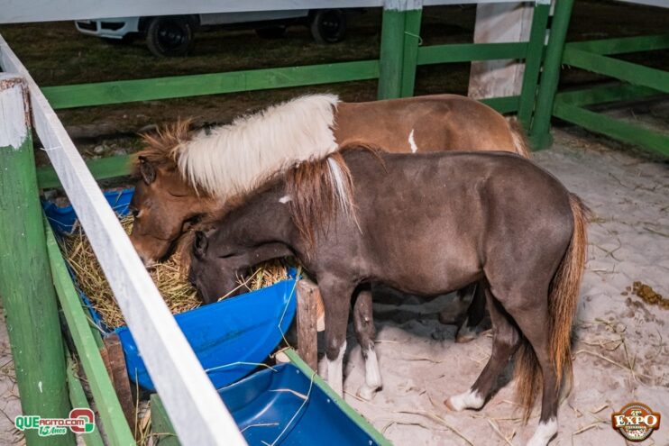 DSC_3409 Com apoio do Governo da Bahia, Expo Teixeira 2025 começa com grande celebração 145
