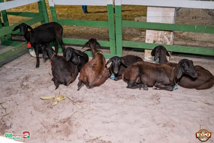 DSC_3411 Com apoio do Governo da Bahia, Expo Teixeira 2025 começa com grande celebração 146