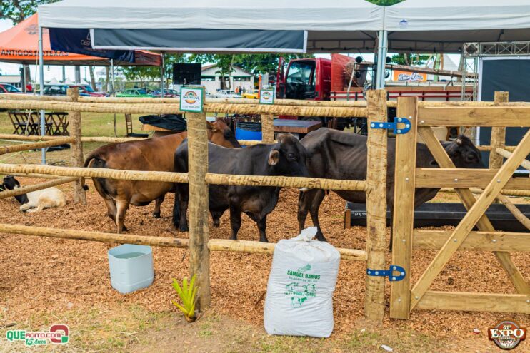 DSC_3609 Mari Fernandez leva o público ao delírio na segunda noite da Expo Teixeira 2025 50