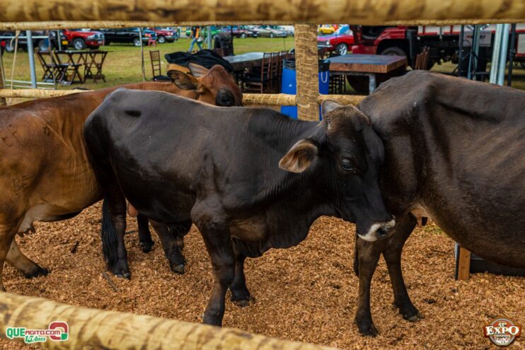 DSC_3610 Mari Fernandez leva o público ao delírio na segunda noite da Expo Teixeira 2025 51