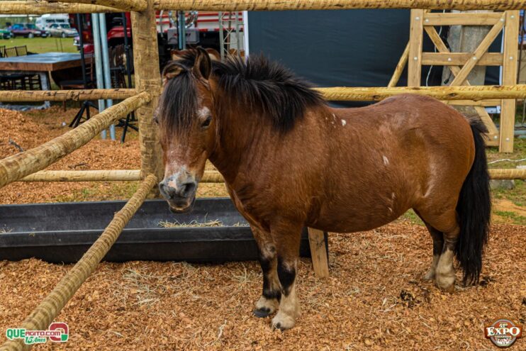 DSC_3611 Mari Fernandez leva o público ao delírio na segunda noite da Expo Teixeira 2025 52