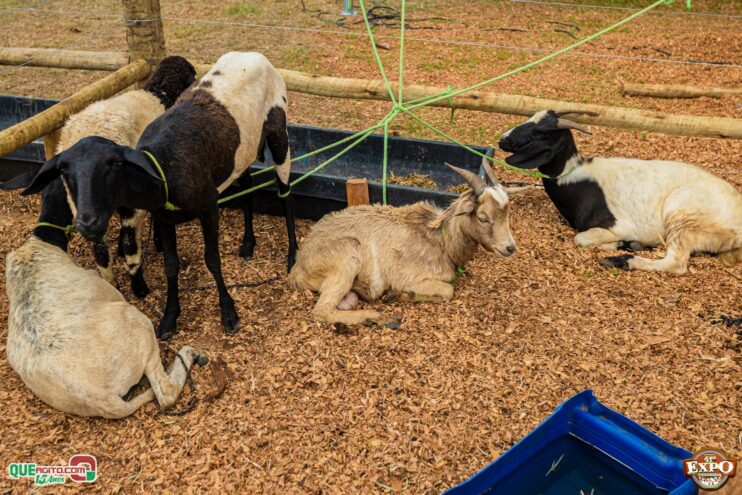DSC_3612 Mari Fernandez leva o público ao delírio na segunda noite da Expo Teixeira 2025 53