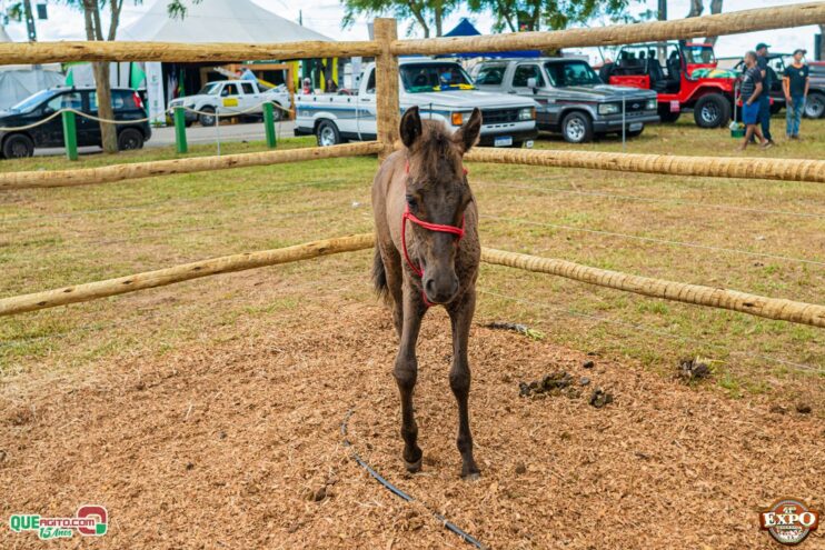 DSC_3614 Mari Fernandez leva o público ao delírio na segunda noite da Expo Teixeira 2025 54