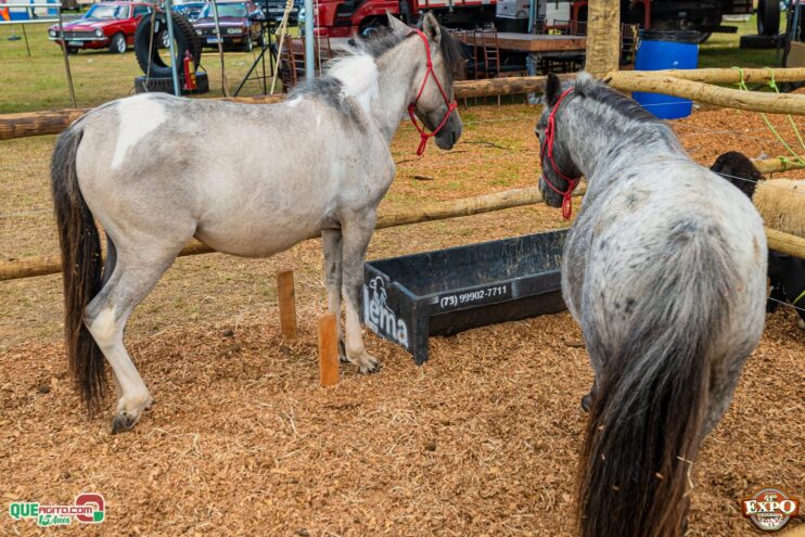 DSC_3616 Mari Fernandez leva o público ao delírio na segunda noite da Expo Teixeira 2025 55