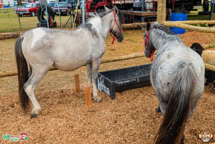 DSC_3617 Mari Fernandez leva o público ao delírio na segunda noite da Expo Teixeira 2025 56