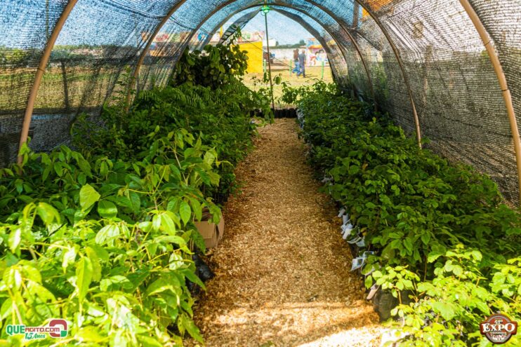 DSC_3654 Mari Fernandez leva o público ao delírio na segunda noite da Expo Teixeira 2025 77