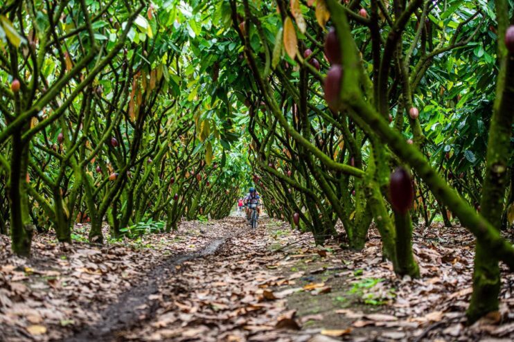 Imagem do WhatsApp de 2025-10-19 à(s) 13.29.43_84e4437e Brasil Ride abre 15ª edição com festa e emoção em Arraial d’Ajuda 20