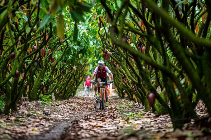 Imagem do WhatsApp de 2025-10-19 à(s) 13.30.16_d8888d27 Brasil Ride abre 15ª edição com festa e emoção em Arraial d’Ajuda 18