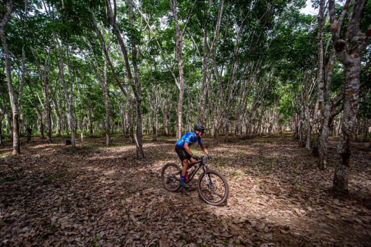 Imagem do WhatsApp de 2025-10-19 à(s) 13.30.16_e07120c1 Brasil Ride abre 15ª edição com festa e emoção em Arraial d’Ajuda 19