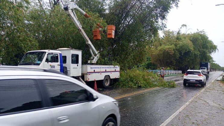 Prefeitura de Porto Seguro atua em regime de força-tarefa após fortes ventos e chuvas intensas na cidade 23