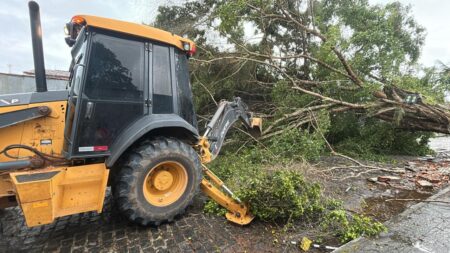 Prefeitura de Porto Seguro atua em regime de força-tarefa após fortes ventos e chuvas intensas na cidade 12