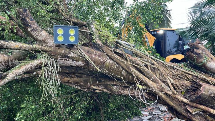 Prefeitura de Porto Seguro atua em regime de força-tarefa após fortes ventos e chuvas intensas na cidade 17