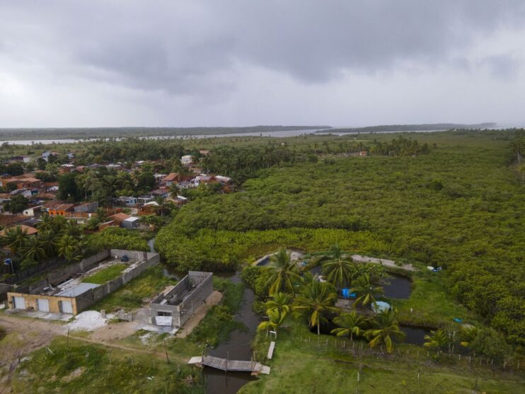 Prefeitura de Belmonte realiza ações preventivas de limpeza e desobstrução de valas e canais 16