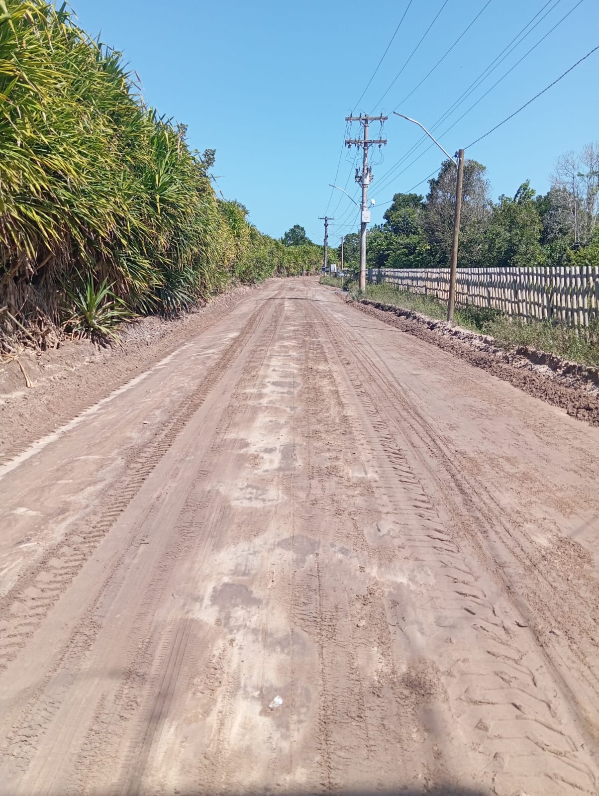 Em ação rápida, Prefeitura de Porto Seguro intensifica recuperação das estradas vicinais após dias de chuvas intensas 31