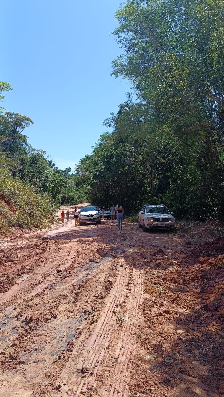 Em ação rápida, Prefeitura de Porto Seguro intensifica recuperação das estradas vicinais após dias de chuvas intensas 28