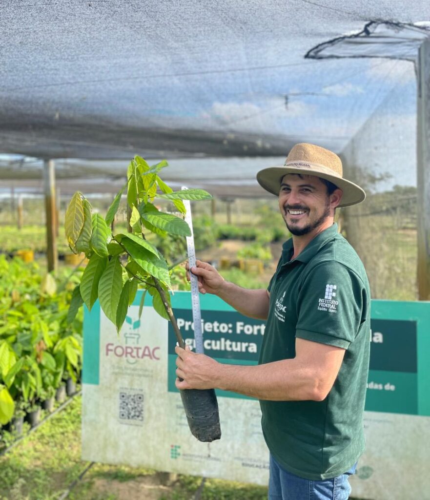 Substrato capixaba reduz em 50% o custo de produção de mudas de cacau 5