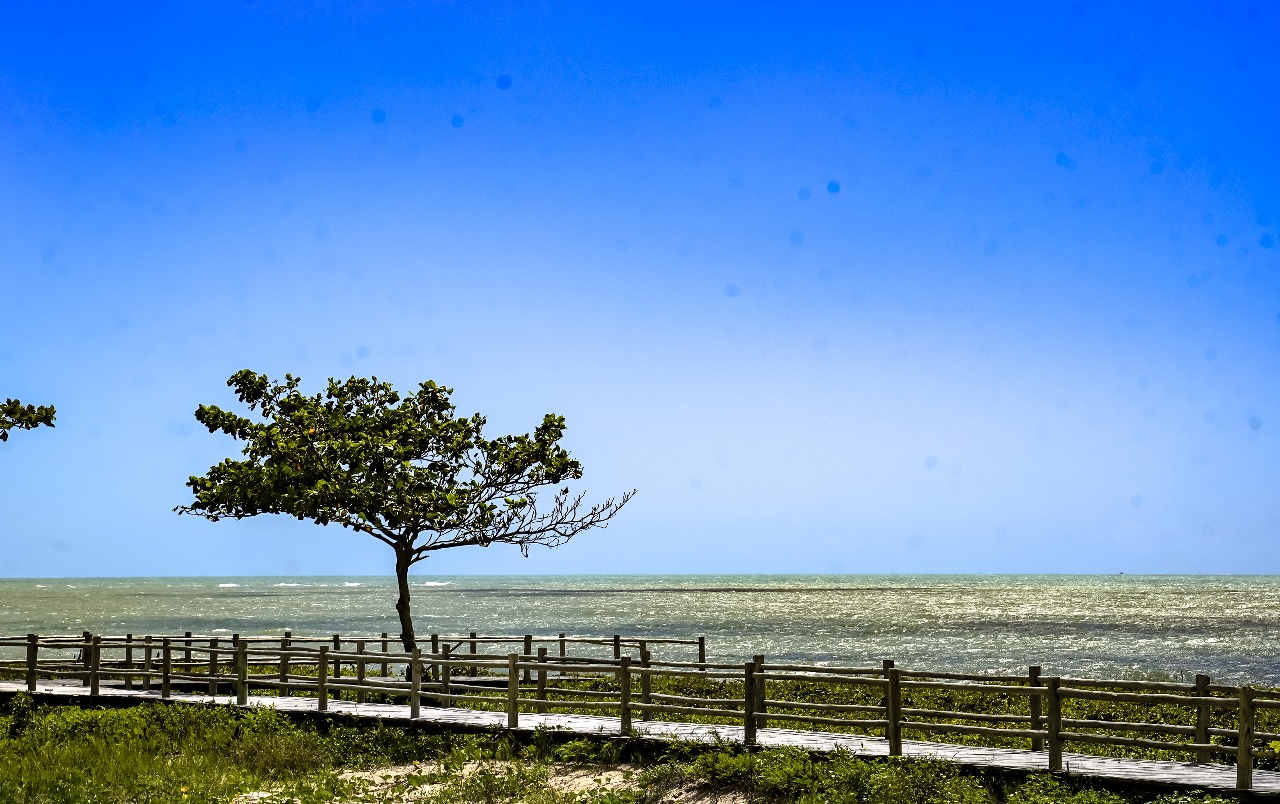 Porto Seguro está no topo das buscas para viagens de verão e fim de ano 5