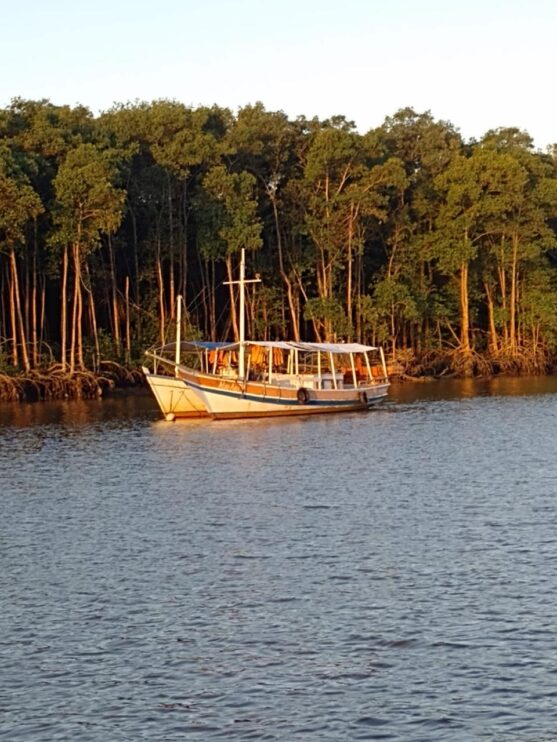 Passeio holístico no Rio Buranhém é lançado em Porto Seguro 7
