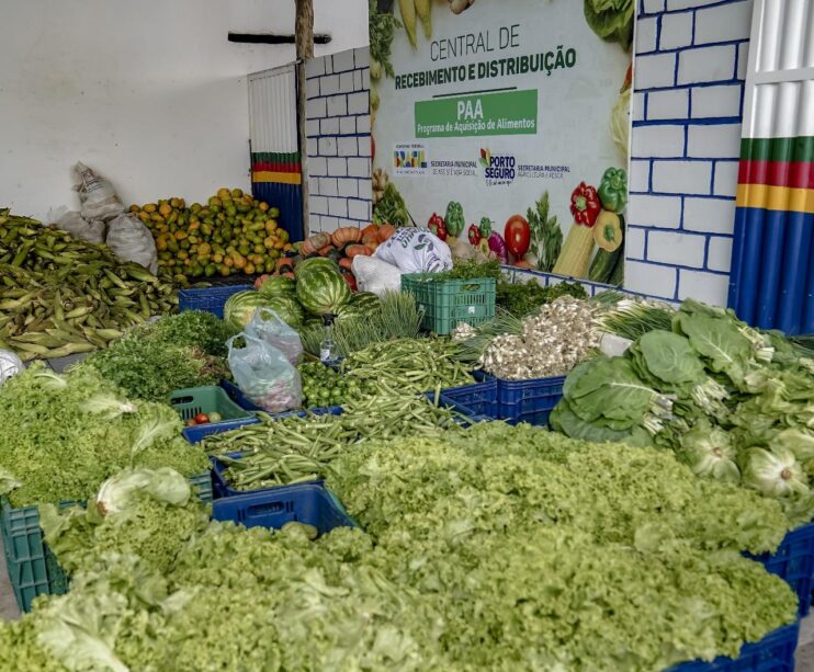 Porto Seguro: Agricultores comemoram primeira compra do PAA 18