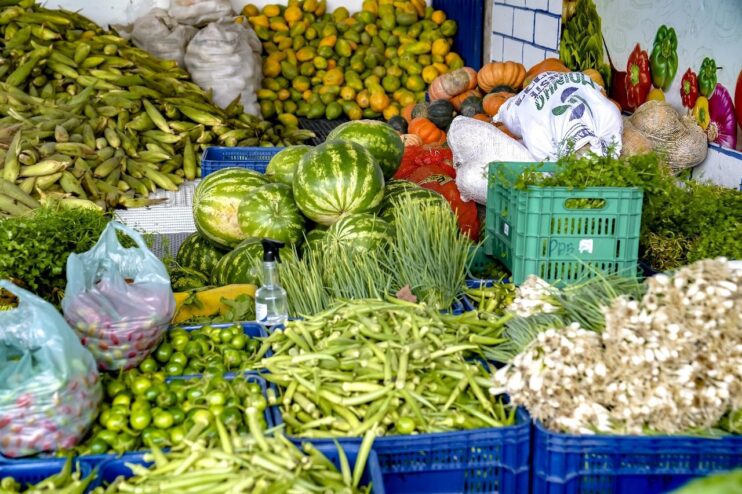 Porto Seguro: Agricultores comemoram primeira compra do PAA 12