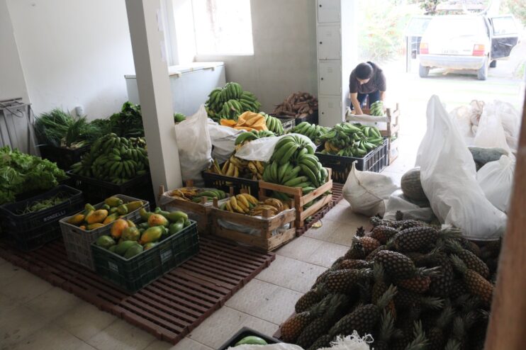 Prefeitura de Eunápolis inicia entregas de alimentos do PAA 17