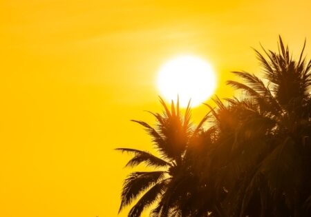 Mais de 70 cidades da Bahia entram em alerta por baixa umidade do ar 35