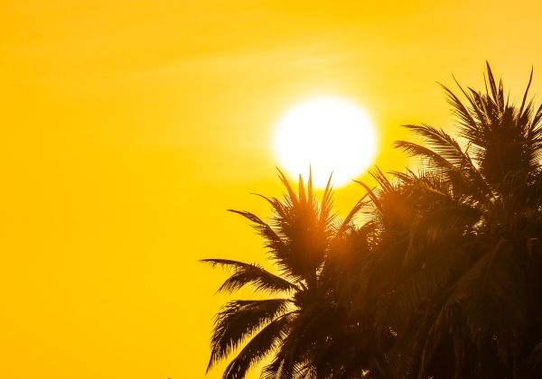 Mais de 70 cidades da Bahia entram em alerta por baixa umidade do ar Mais de 70 cidades da Bahia entram em alerta por baixa umidade do ar 4