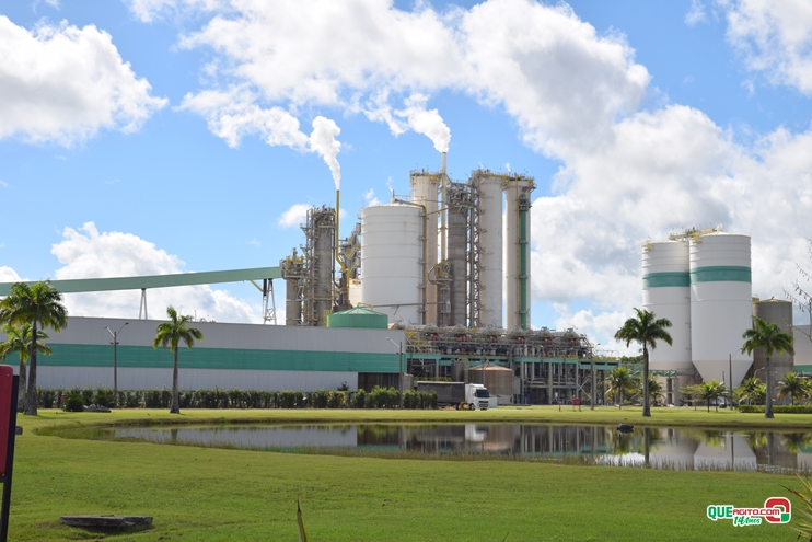 Veracel abre seis novas oportunidades para trabalhar na companhia Veracel abre seis novas oportunidades para trabalhar na companhia 4