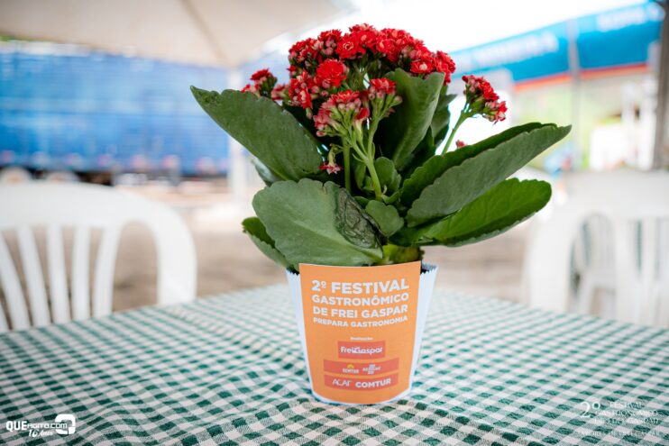 DSC_1344 2º Festival Gastronômico de Frei Gaspar encanta público com sabores, tradição e clima natalino 10