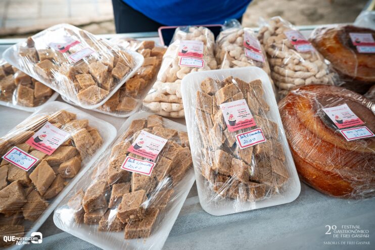 DSC_1519 2º Festival Gastronômico de Frei Gaspar encanta público com sabores, tradição e clima natalino 34
