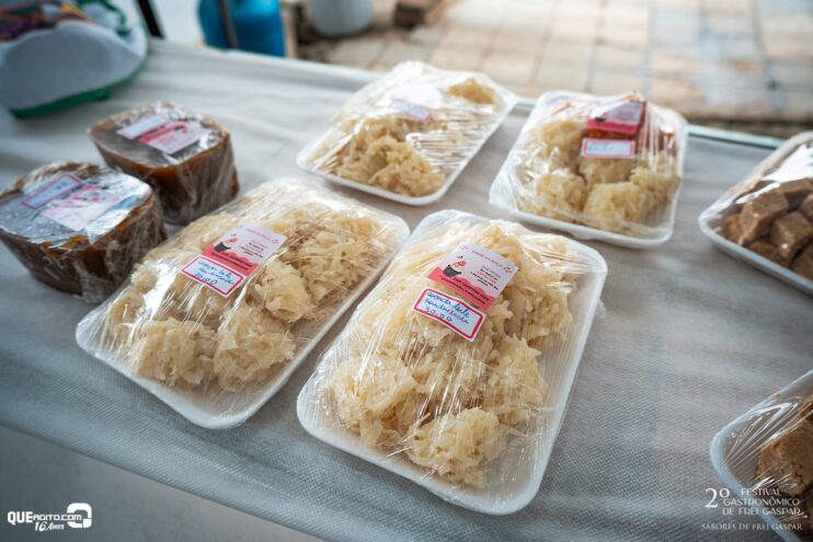 DSC_1520 2º Festival Gastronômico de Frei Gaspar encanta público com sabores, tradição e clima natalino 35