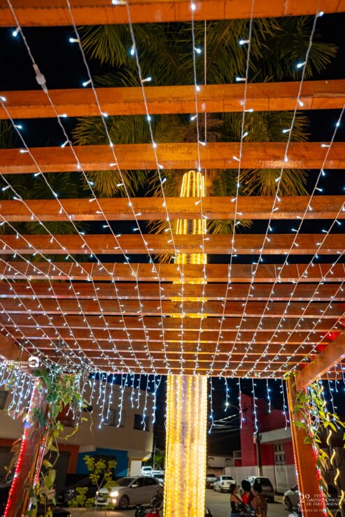 DSC_1841 2º Festival Gastronômico de Frei Gaspar encanta público com sabores, tradição e clima natalino 183