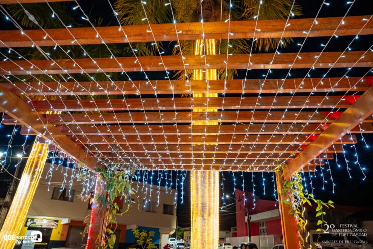 DSC_1842 2º Festival Gastronômico de Frei Gaspar encanta público com sabores, tradição e clima natalino 184