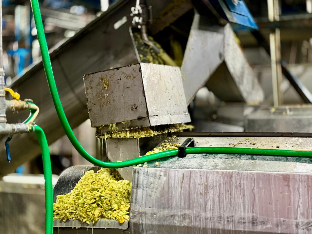 Bahia busca novos investimentos em São Paulo para fortalecer a cadeia da laranja no estado 6