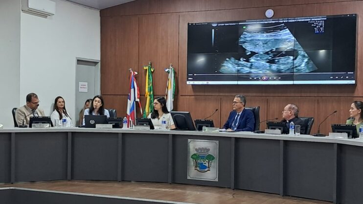 “Em defesa da vida” foi tema de audiência pública na Câmara de Eunápolis 16