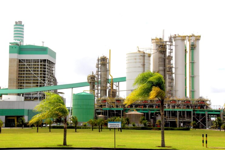 Inscrições para o Programa de Estágio 2026 da Veracel abrem na próxima semana 4