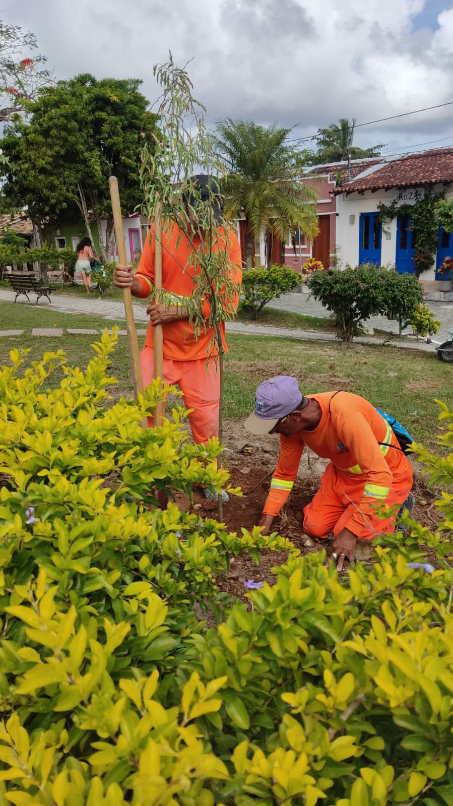 Novo pé de tamarindo é replantado na Praça Brigadeiro Eduardo Gomes, em Arraial d’Ajuda 4