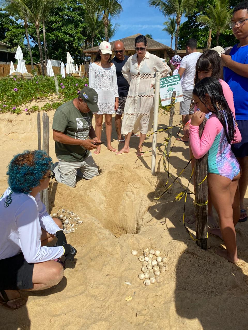 Orla Norte comemora 97 novos “nadadores”: nascem tartarugas-cabeçudas em ninho monitorado pela Semac 4