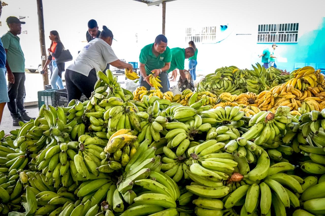 Porto Seguro: PAA beneficia agricultores da comunidade indígena 7