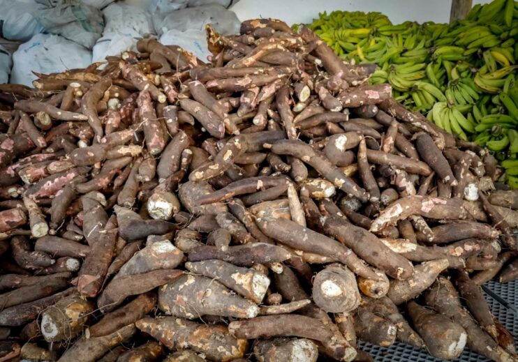 WhatsApp Image 2026-01-22 at 13.40.53 (3) Porto Seguro: PAA beneficia agricultores da comunidade indígena 16