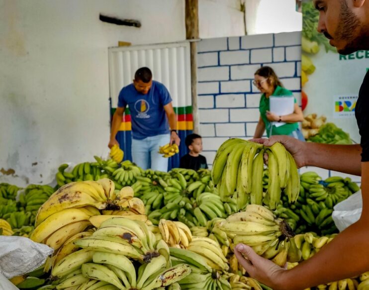 WhatsApp Image 2026-01-22 at 13.40.53 (4) Porto Seguro: PAA beneficia agricultores da comunidade indígena 15