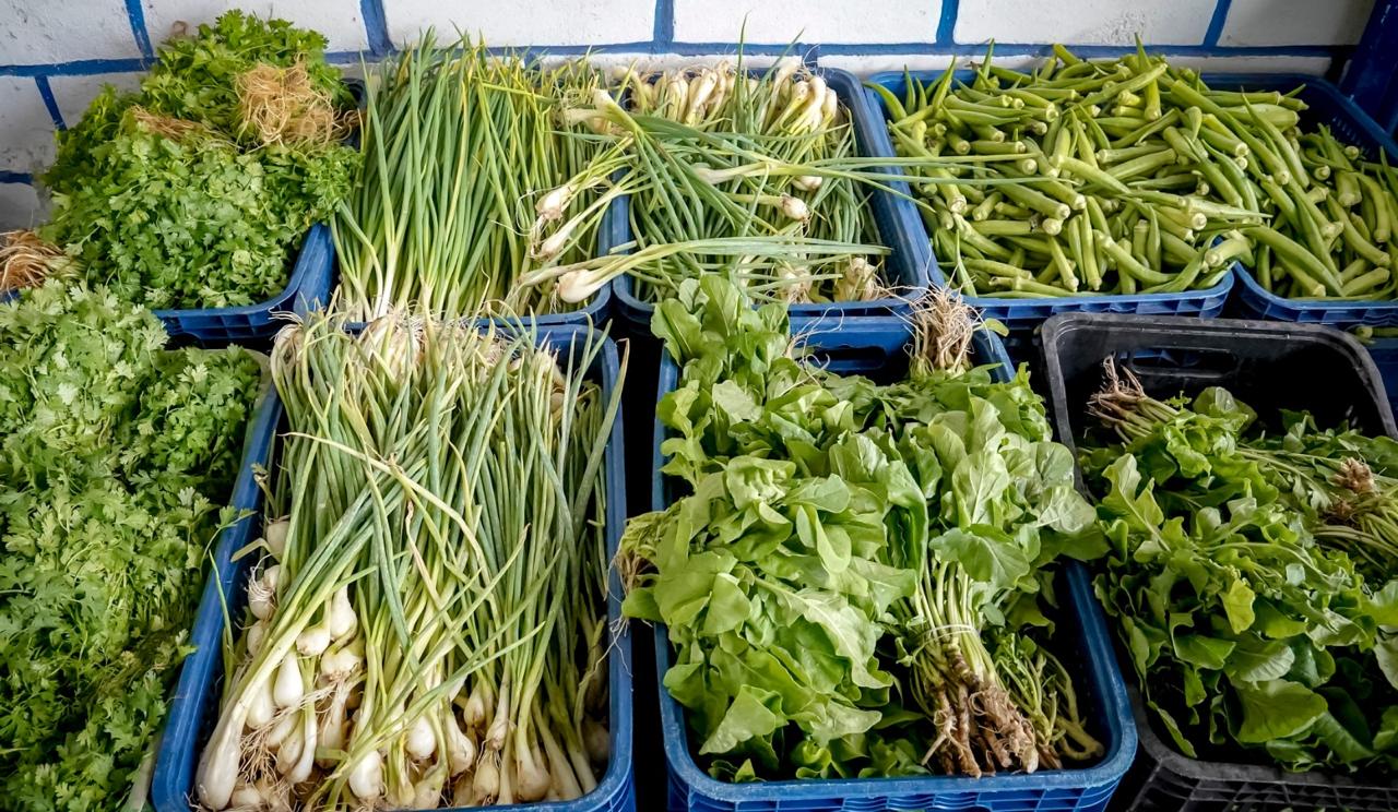 Porto Seguro: PAA beneficia agricultores da comunidade indígena 5