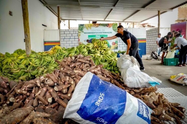 WhatsApp Image 2026-01-22 at 13.40.54 (1) Porto Seguro: PAA beneficia agricultores da comunidade indígena 13