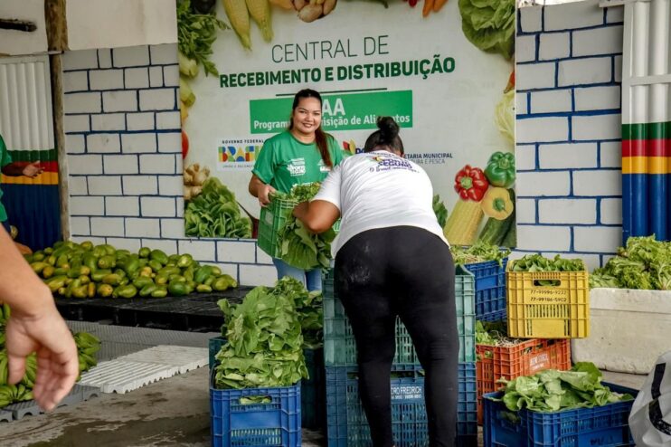 WhatsApp Image 2026-01-22 at 13.40.54 (3) Porto Seguro: PAA beneficia agricultores da comunidade indígena 11