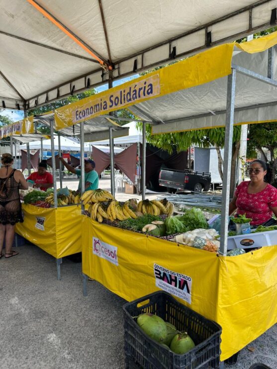 Porto Seguro realiza 1ª Feira de Agricultura Familiar e Economia Solidária 16