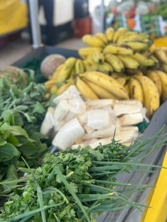 Porto Seguro realiza 1ª Feira de Agricultura Familiar e Economia Solidária 13