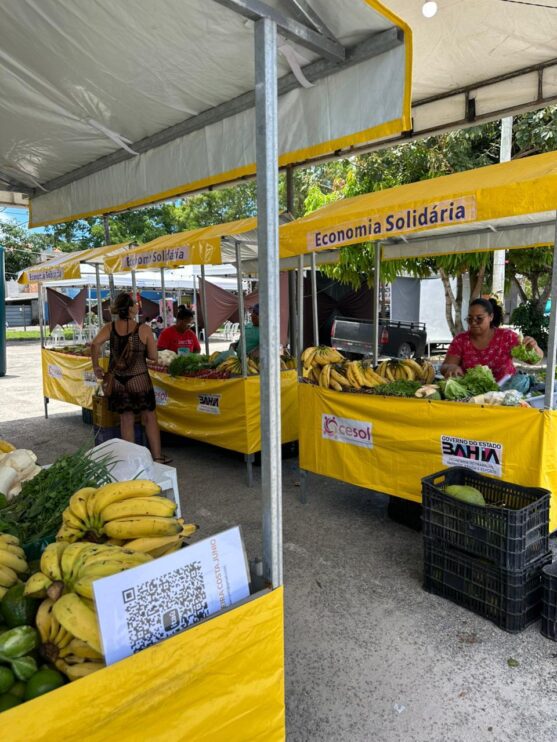 Porto Seguro realiza 1ª Feira de Agricultura Familiar e Economia Solidária 8