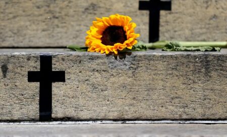 Caso de Itumbiara acende alerta para violência vicária; entenda 43