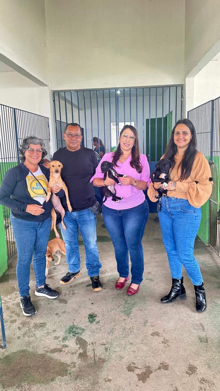 Deputada Cláudia Oliveira cobra ação do poder público e propõe política nacional de proteção animal 4