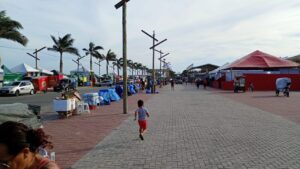 Porto Seguro reforça serviços públicos e prepara cidade para o Carnaval 2026 1